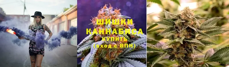 где продают наркотики  Котельники  Каннабис конопля 